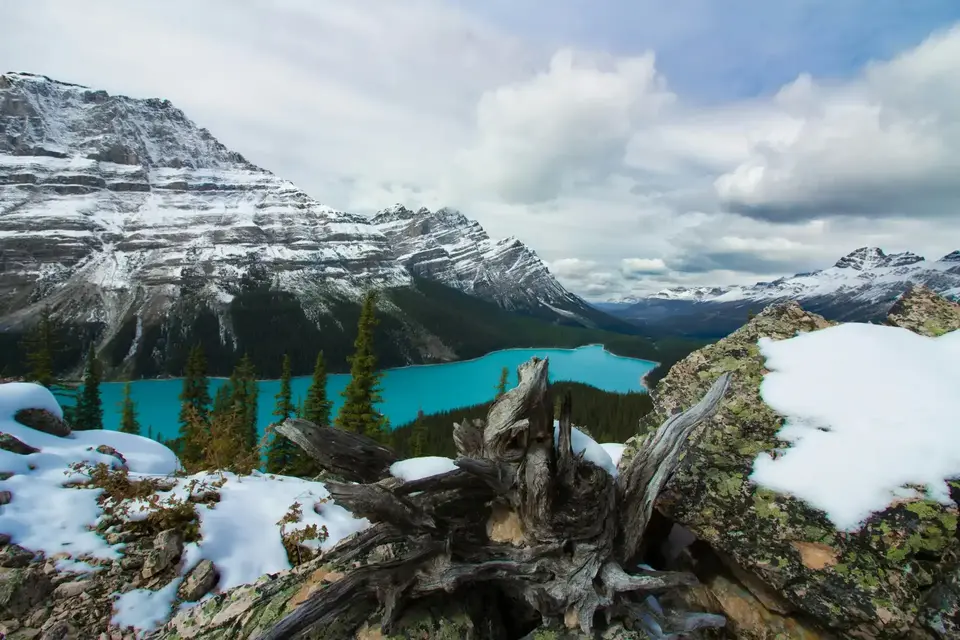 Winter Peyto Lake