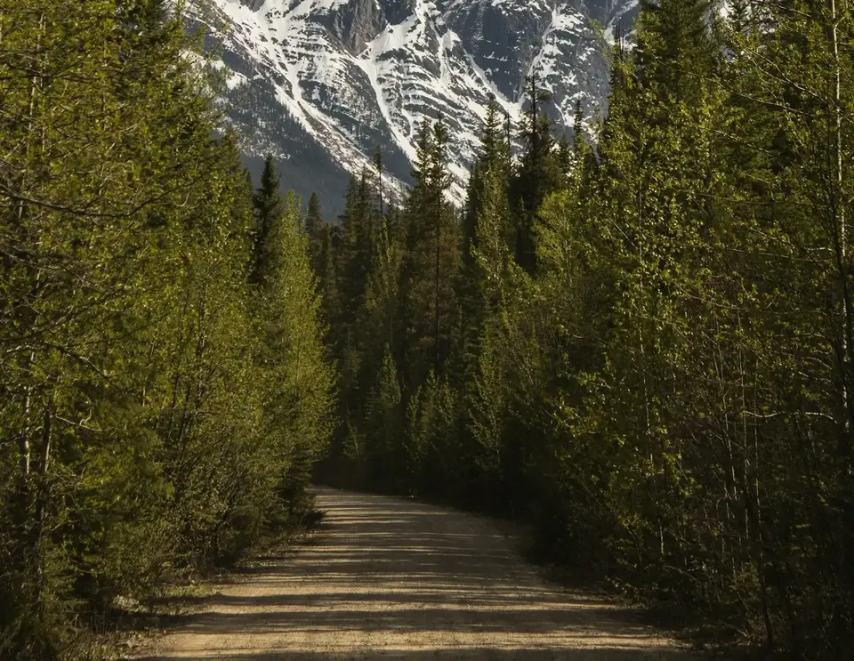Athabasca Falls